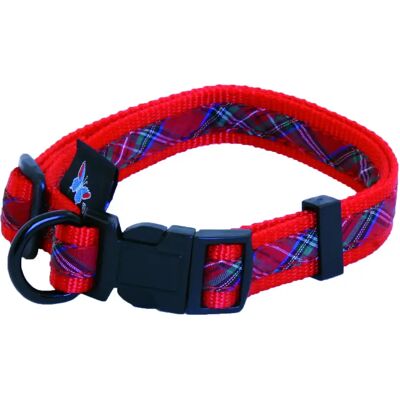 Collier pour chien reglable Martin Sellier Benton Rouge - Publicité Collier pour chien reglable Martin Sellier Benton Rouge - Publicité