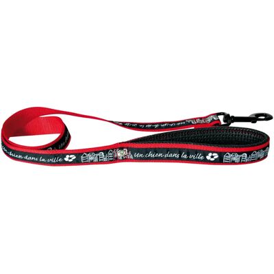 Laisse pour chien nylon Martin Sellier Dog City Noir - Publicité Laisse pour chien nylon Martin Sellier Dog City Noir - Publicité