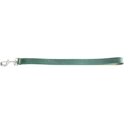 Laisse pour chien double bords arrondis Martin Sellier Vert - Publicité Laisse pour chien double bords arrondis Martin Sellier Vert - Publicité