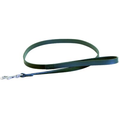 Laisse pour chien bord arrondis Martin Sellier Vert - Publicité Laisse pour chien bord arrondis Martin Sellier Vert - Publicité