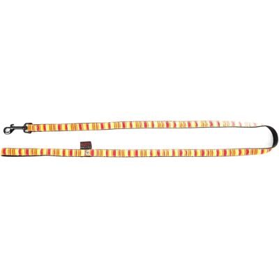Laisse pour chien Martin Sellier Beach Orange - Publicité Laisse pour chien Martin Sellier Beach Orange - Publicité