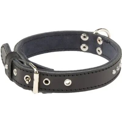 Collier pour chien Martin Sellier Class Noir - Publicité Collier pour chien Martin Sellier Class Noir - Publicité