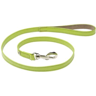 Laisse pour chien cuir citadine Martin Sellier M Vert - Publicité Laisse pour chien cuir citadine Martin Sellier M Vert - Publicité