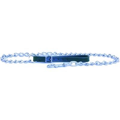 Laisse pour chien avec chaine Martin Sellier 4 mm Vert - Publicité Laisse pour chien avec chaine Martin Sellier 4 mm Vert - Publicité