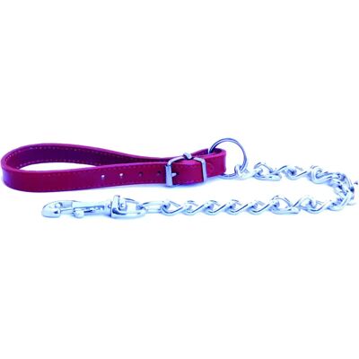 Laisse pour chien poignée en cuir Martin Sellier Bleu - Publicité Laisse pour chien poignée en cuir Martin Sellier Bleu - Publicité