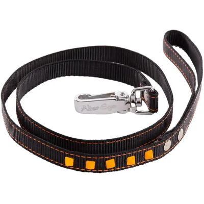 Laisse pour chien Martin Sellier Fluo Noir - Publicité Laisse pour chien Martin Sellier Fluo Noir - Publicité