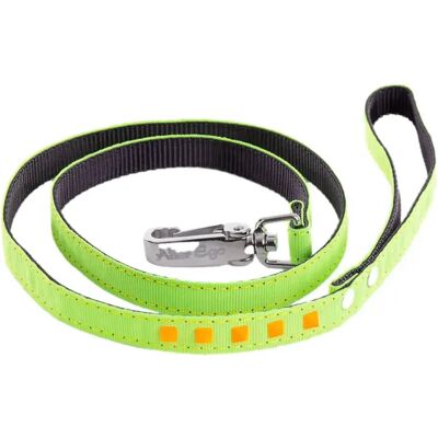 Laisse pour chien Martin Sellier Fluo Vert - Publicité Laisse pour chien Martin Sellier Fluo Vert - Publicité
