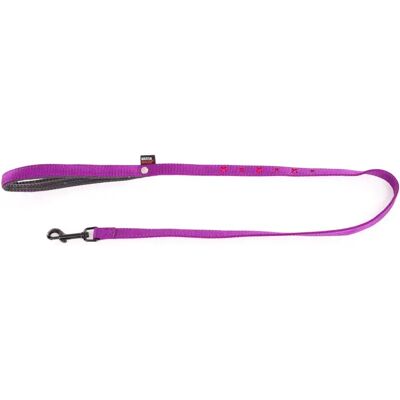 Laisse pour chien nylon Martin Sellier Croix Violet - Publicité Laisse pour chien nylon Martin Sellier Croix Violet - Publicité
