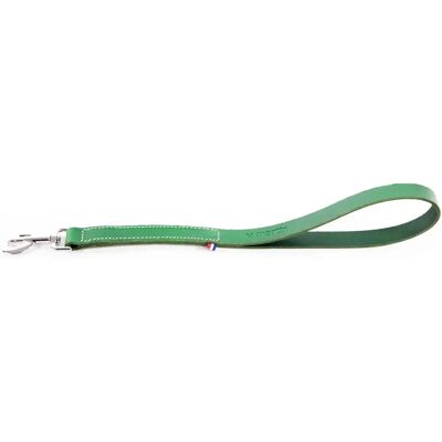 Laisse pour chien en cuir Martin Sellier 499 Vert - Publicité Laisse pour chien en cuir Martin Sellier 499 Vert - Publicité