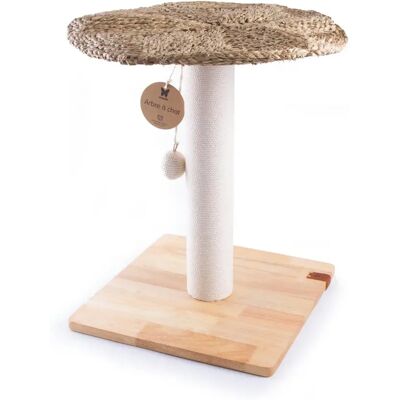 Arbre à chat Martin Sellier Pure Plateau Beige - Publicité Arbre à chat Martin Sellier Pure Plateau Beige - Publicité