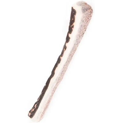Jouet pour chien demi bois de cerf biseau Martin Sellier 20-45 g Beige - Publicité Jouet pour chien demi bois de cerf biseau Martin Sellier 20-45 g Beige - Publicité