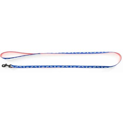 Laisse pour chien nylon Martin Sellier Cat Bico Bleu - Publicité Laisse pour chien nylon Martin Sellier Cat Bico Bleu - Publicité