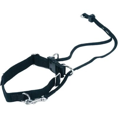 Laisse et harnais pour chien Martin Sellier Easy Noir - Publicité Laisse et harnais pour chien Martin Sellier Easy Noir - Publicité
