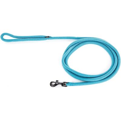 Laisse multifonction nylon rond pour chien Martin Sellier Bleu - Publicité Laisse multifonction nylon rond pour chien Martin Sellier Bleu - Publicité