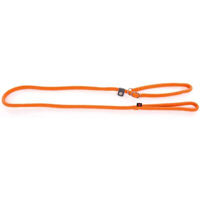 Laisse pour chien classic educatif nylon Martin Sellier Orange - Publicité Laisse pour chien classic educatif nylon Martin Sellier Orange - Publicité
