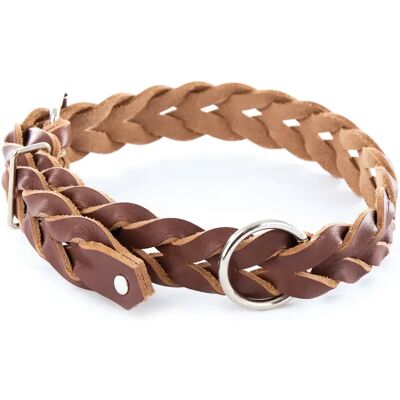 Collier pour chien en cuir tressé pleine fleur Martin Sellier Marron - Publicité Collier pour chien en cuir tressé pleine fleur Martin Sellier Marron - Publicité