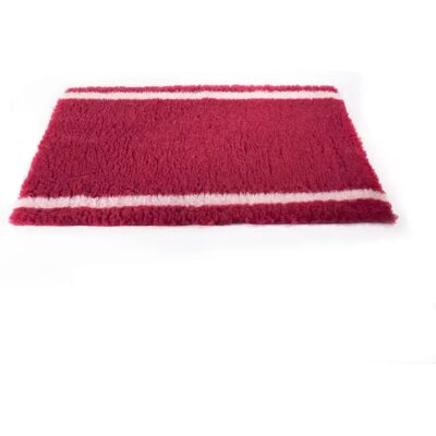 Tapis pour chien rouleau Martin Sellier Rouge - Publicité Tapis pour chien rouleau Martin Sellier Rouge - Publicité