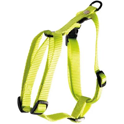 Harnais pour chien réglable classic nylon Martin Sellier S Vert - Publicité Harnais pour chien réglable classic nylon Martin Sellier S Vert - Publicité