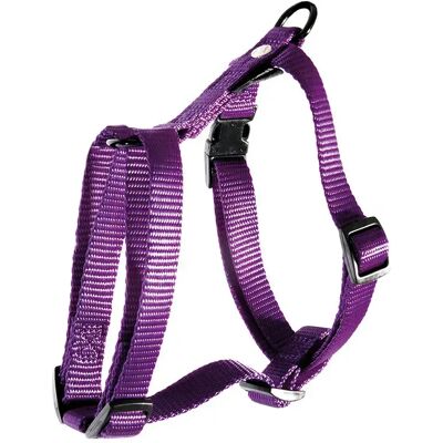 Harnais pour chien réglable classic nylon Martin Sellier M Violet - Publicité Harnais pour chien réglable classic nylon Martin Sellier M Violet - Publicité