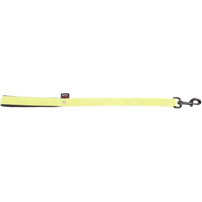 Laisse pour chien classic double nylon Martin Sellier L Vert - Publicité Laisse pour chien classic double nylon Martin Sellier L Vert - Publicité