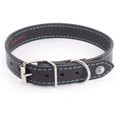 Collier pour chien Martin Sellier Flash Noir - Publicité Collier pour chien Martin Sellier Flash Noir - Publicité