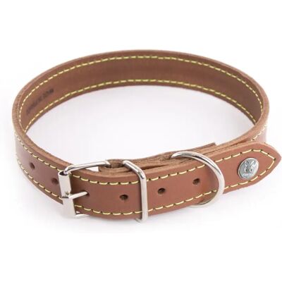 Collier pour chien Martin Sellier Flash Marron - Publicité Collier pour chien Martin Sellier Flash Marron - Publicité