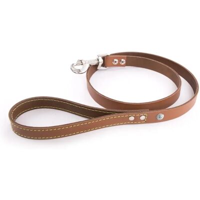 Laisse pour chien Martin Sellier Flash Marron - Publicité Laisse pour chien Martin Sellier Flash Marron - Publicité