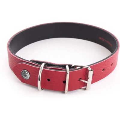Collier pour chien Martin Sellier Allure Rouge - Publicité Collier pour chien Martin Sellier Allure Rouge - Publicité