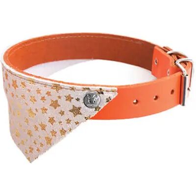 Collier pour chien Martin Sellier Miami Rouge - Publicité Collier pour chien Martin Sellier Miami Rouge - Publicité
