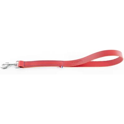 Laisse pour chien en cuir bicolore Martin Sellier 499 Rouge - Publicité Laisse pour chien en cuir bicolore Martin Sellier 499 Rouge - Publicité