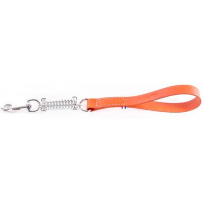 Laisse pour chien en cuir Martin Sellier Amor 499 Orange - Publicité Laisse pour chien en cuir Martin Sellier Amor 499 Orange - Publicité