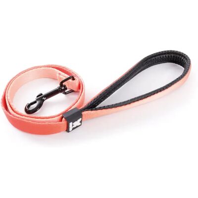 Laisse pour chien nylon Martin Sellier L Orange - Publicité Laisse pour chien nylon Martin Sellier L Orange - Publicité