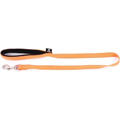 Laisse pour chien neoprène nylon Martin Sellier S Orange - Publicité Laisse pour chien neoprène nylon Martin Sellier S Orange - Publicité