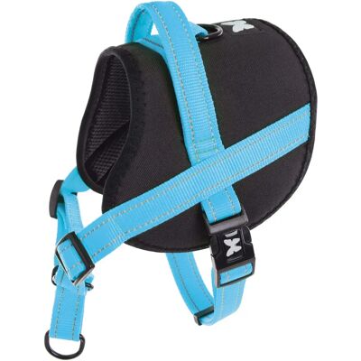 Laisse et harnais pour chien Martin Sellier H&S Turquoise - Publicité Laisse et harnais pour chien Martin Sellier H&S Turquoise - Publicité