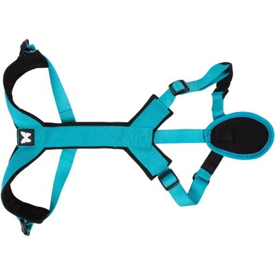 Harnais pour chien nylon Martin Sellier Ccross Turquoise - Publicité Harnais pour chien nylon Martin Sellier Ccross Turquoise - Publicité