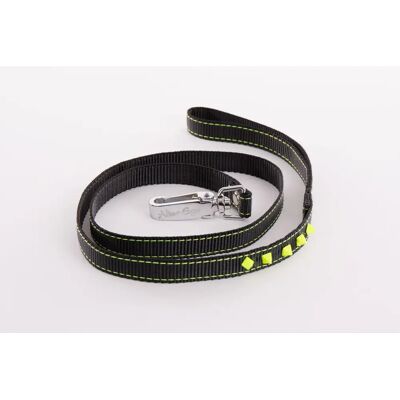 Laisse pour chien fluo Martin Sellier Noir - Publicité Laisse pour chien fluo Martin Sellier Noir - Publicité