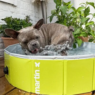 Piscine pour chien Martin Sellier Pool Vert - Publicité Piscine pour chien Martin Sellier Pool Vert - Publicité