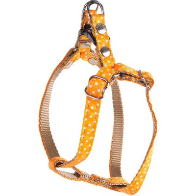 Harnais pour chien pois Martin Sellier XS Orange - Publicité Harnais pour chien pois Martin Sellier XS Orange - Publicité