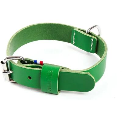 Collier pour chien en cuir bicolore Martin Sellier 499 Vert - Publicité Collier pour chien en cuir bicolore Martin Sellier 499 Vert - Publicité