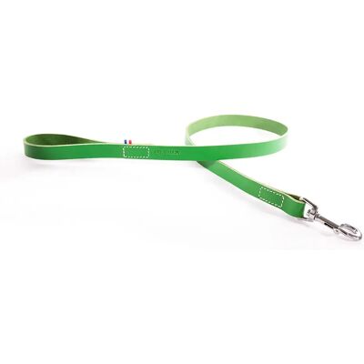 Laisse pour chien en cuir bicolore Martin Sellier 499 Vert - Publicité Laisse pour chien en cuir bicolore Martin Sellier 499 Vert - Publicité