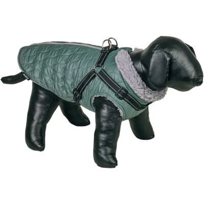 Manteau pour chien 2 en 1 Nobby Pet Polara Vert - Publicité Manteau pour chien 2 en 1 Nobby Pet Polara Vert - Publicité