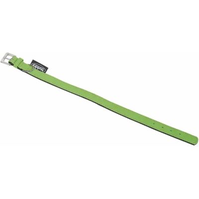 Collier pour chien Nobby Pet South Vert - Publicité Collier pour chien Nobby Pet South Vert - Publicité