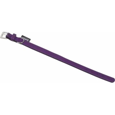 Collier pour chien Nobby Pet South Violet - Publicité Collier pour chien Nobby Pet South Violet - Publicité