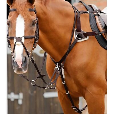 Collier de cheval PREMIER EQUINE Invorio - Cuir italien réglable - Publicité Collier de cheval PREMIER EQUINE Invorio - Cuir italien réglable - Publicité