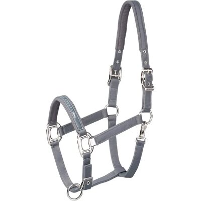 Schockemöhle Sports Licol nylon pour cheval Schockemöehle Memphis Gris - Publicité Schockemöhle Sports Licol nylon pour cheval Schockemöehle Memphis Gris - Publicité