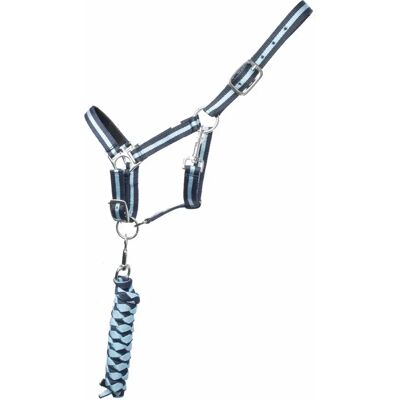 Licol pour cheval double + longe T de T Bleu - Publicité Licol pour cheval double + longe T de T Bleu - Publicité