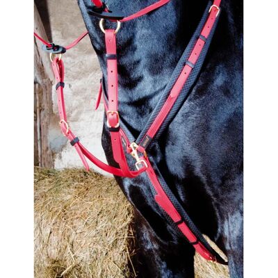 Collier de chasse pour cheval T de T Rouge - Publicité Collier de chasse pour cheval T de T Rouge - Publicité