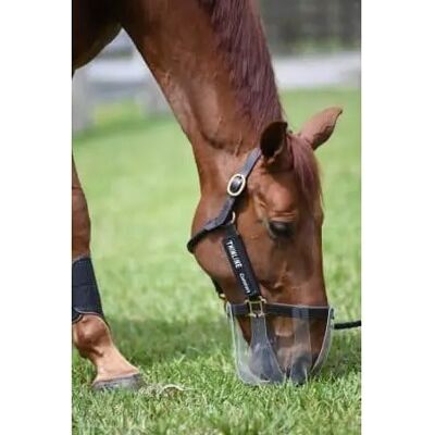 Masque de pâturage fléxible pour cheval ThinLine ThinLine Blanc - Publicité Masque de pâturage fléxible pour cheval ThinLine ThinLine Blanc - Publicité