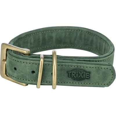 Collier pour chien pure en cuir Trixie Vert - Publicité Collier pour chien pure en cuir Trixie Vert - Publicité