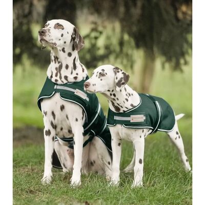 Imperméable pour chien Waldhausen Vert - Publicité Imperméable pour chien Waldhausen Vert - Publicité